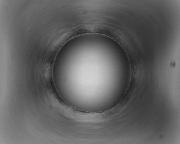 X0000113260036200909171700