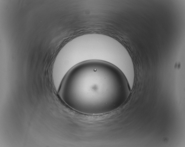 X0000113260037200909171700