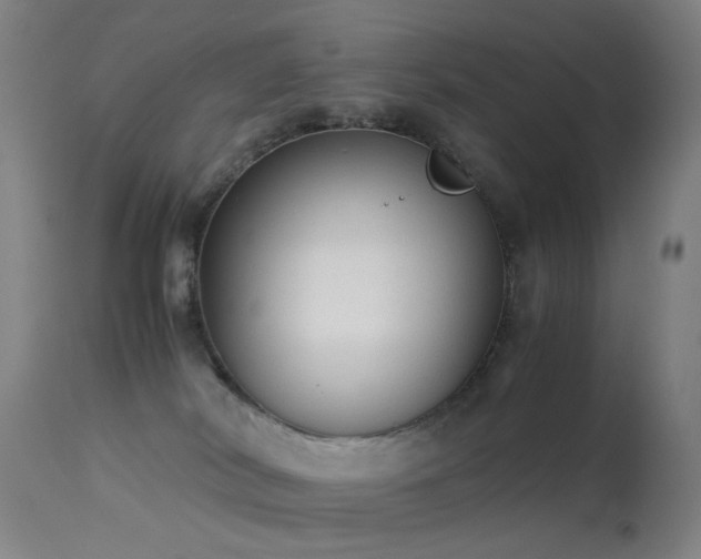 X0000113260038200909171700