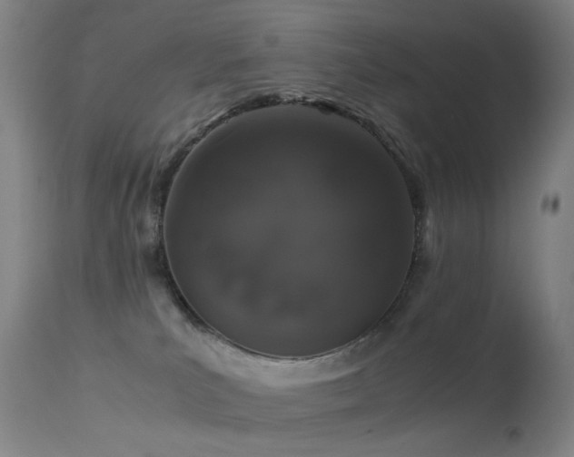 X0000113260039200909171700