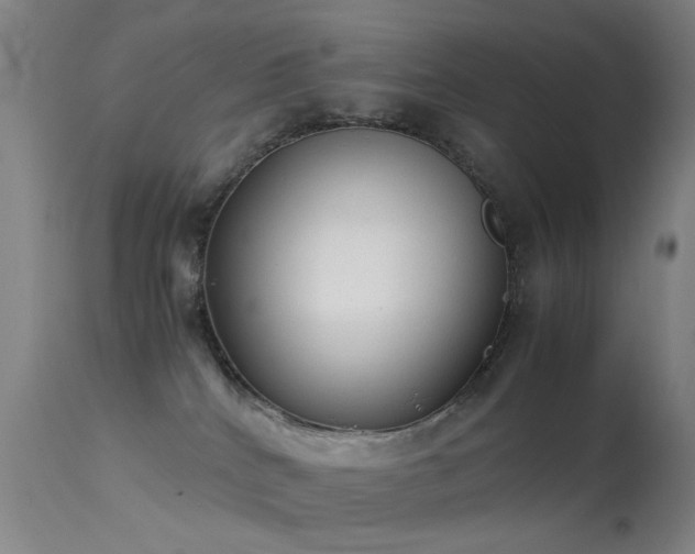 X0000113260040200909171700