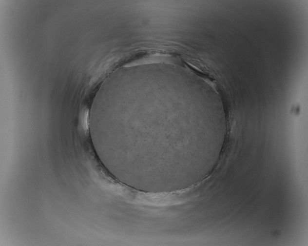 X0000113260041200909171700