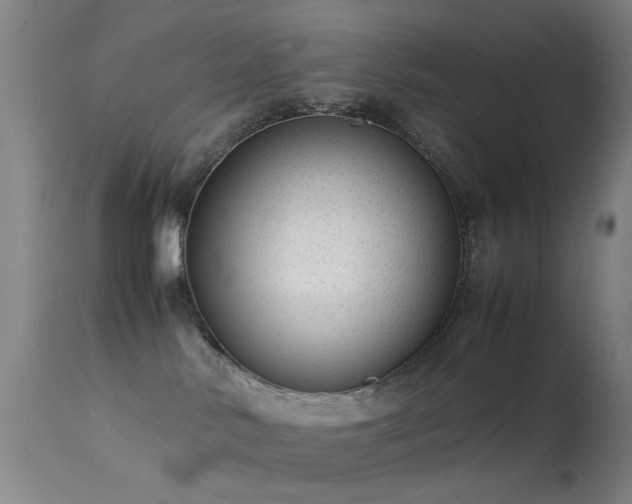 X0000113260042200909171700