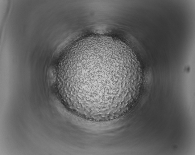 X0000113260043200909171700