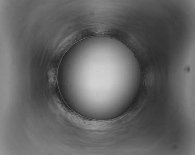 X0000113260044200909171700