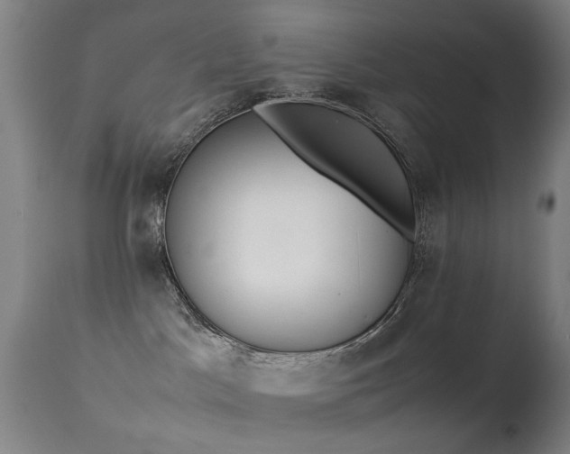 X0000113260045200909171700