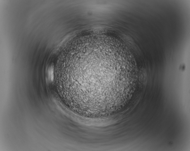 X0000113260046200909171700