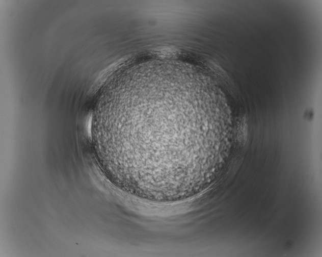 X0000113260047200909171700