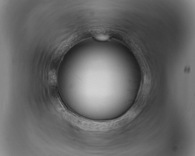 X0000113260048200909171700