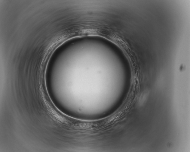 X0000113260049200909171659