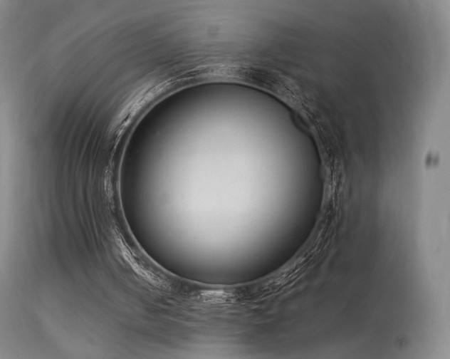 X0000113260050200909171659