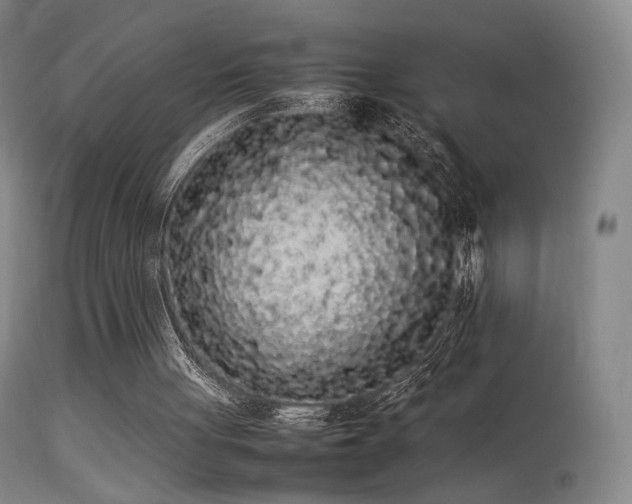 X0000113260051200909171659