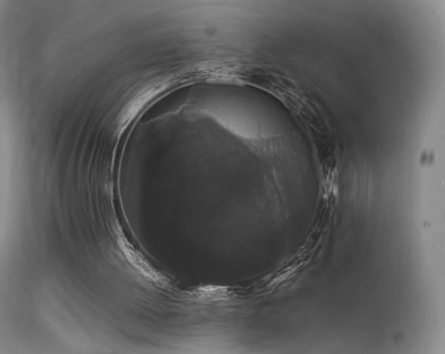 X0000113260052200909171659