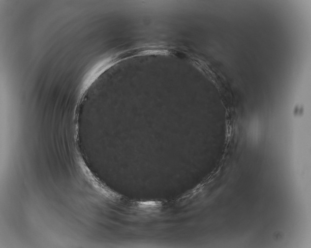 X0000113260053200909171659