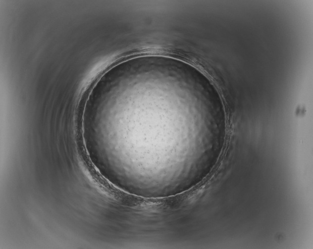 X0000113260055200909171659