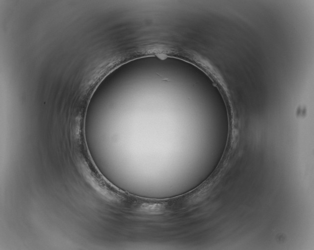 X0000113260057200909171659