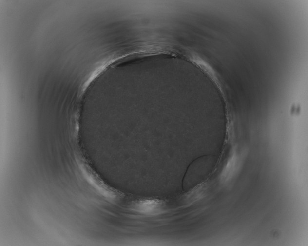 X0000113260059200909171659