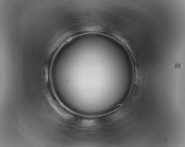 X0000113260061200909171659