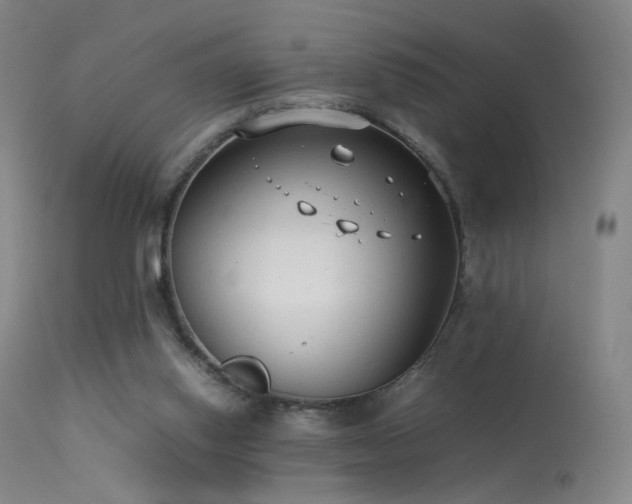 X0000113260062200909171659