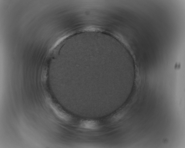 X0000113260063200909171659