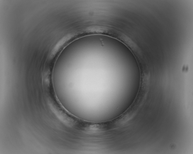 X0000113260064200909171659