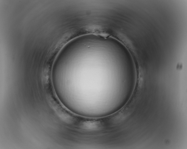 X0000113260065200909171659