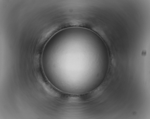 X0000113260066200909171659