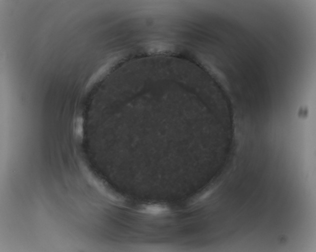 X0000113260067200909171659