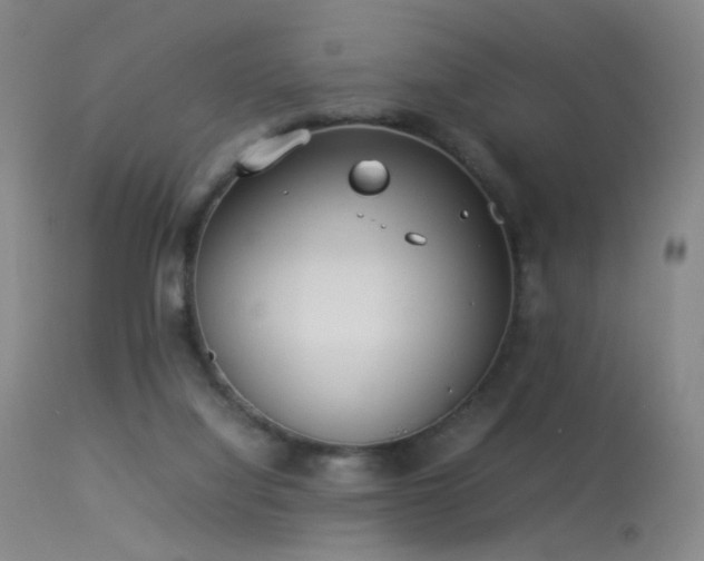 X0000113260068200909171659