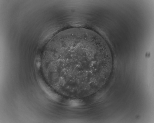 X0000113260069200909171659