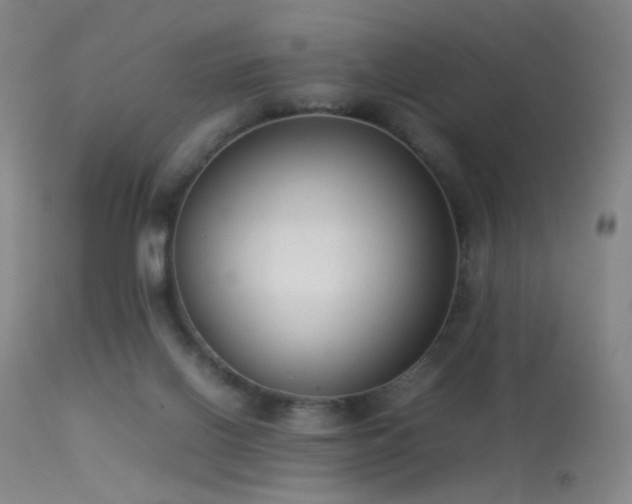 X0000113260070200909171659