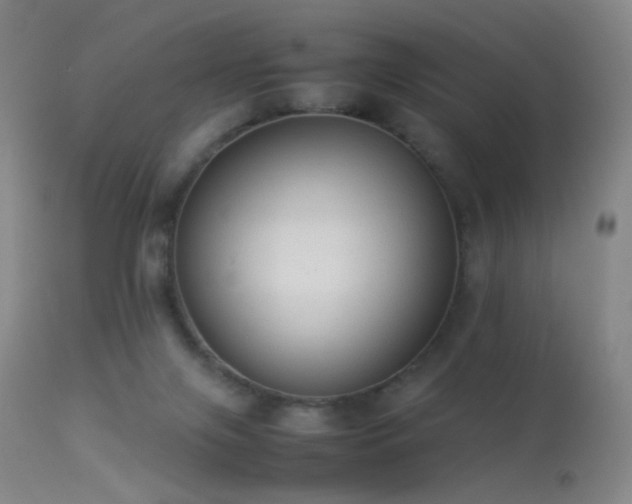 X0000113260071200909171659