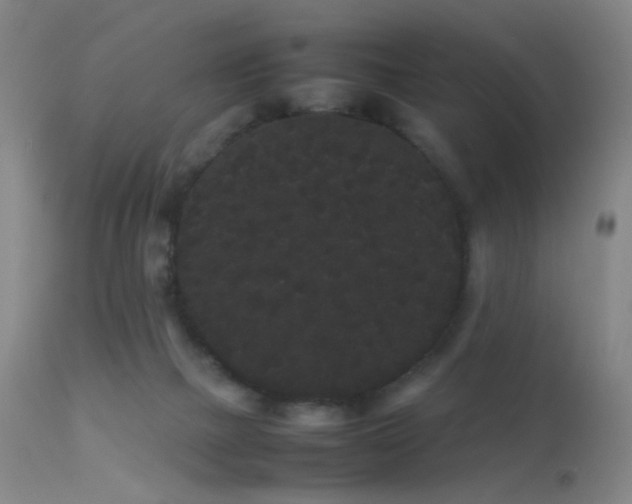 X0000113260073200909171659