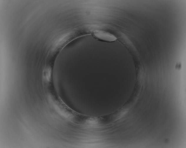 X0000113260076200909171659