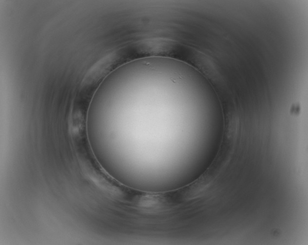 X0000113260077200909171659