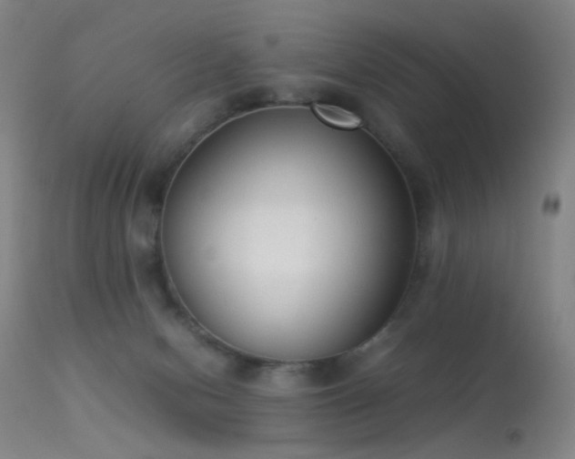 X0000113260078200909171659