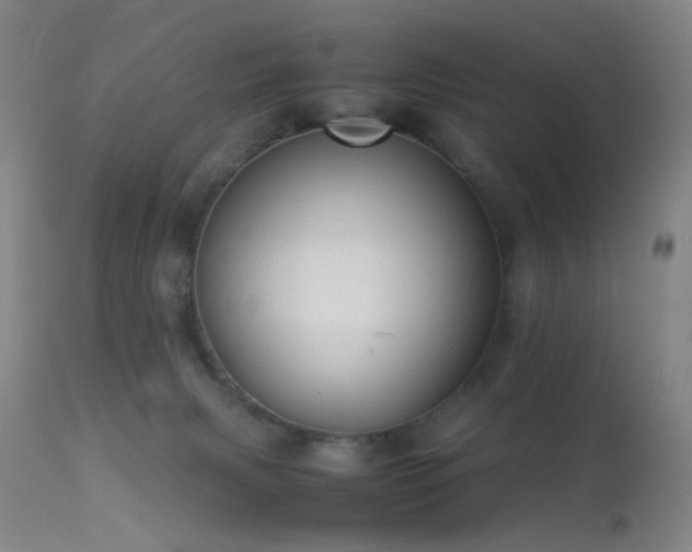 X0000113260079200909171659