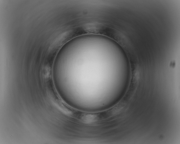 X0000113260081200909171659