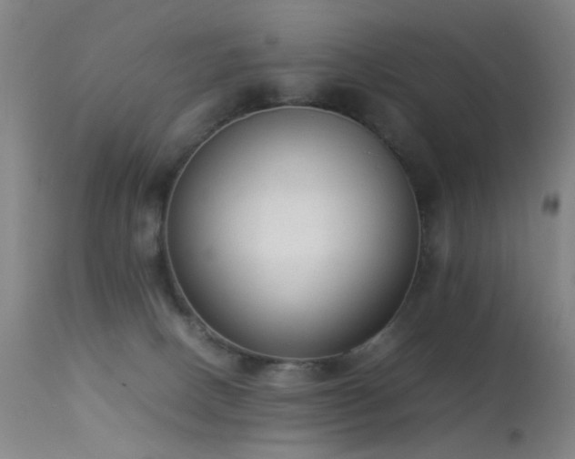 X0000113260082200909171700