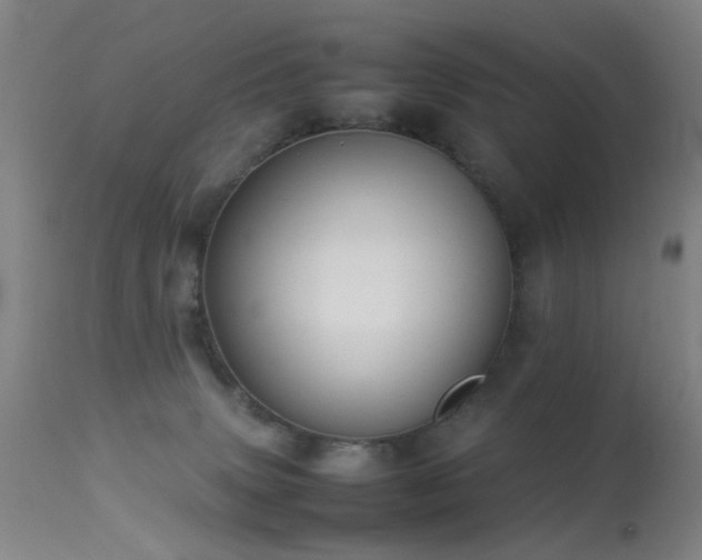 X0000113260083200909171700