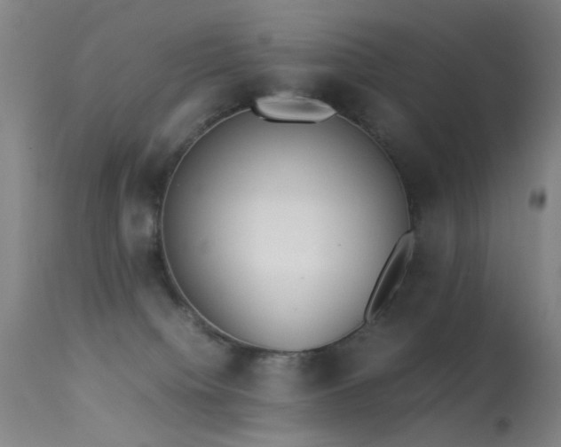 X0000113260084200909171700