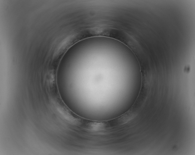 X0000113260085200909171700