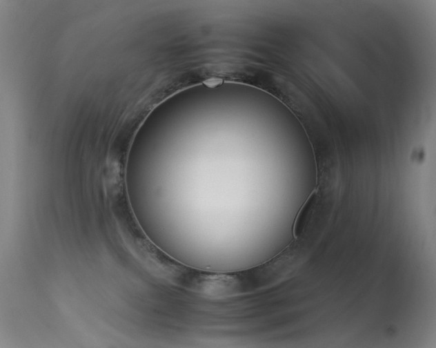 X0000113260087200909171700