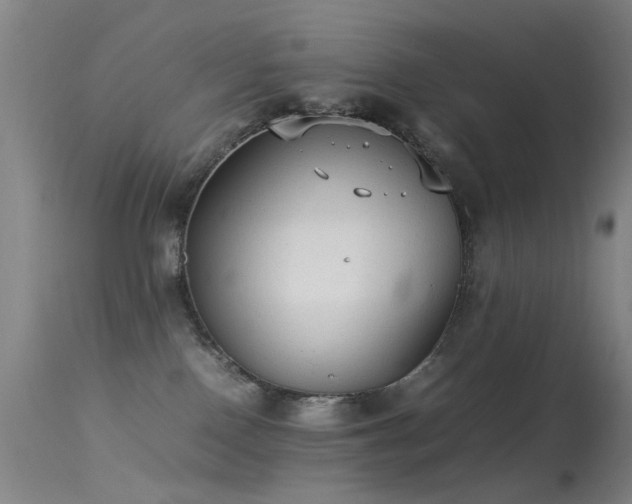 X0000113260090200909171700