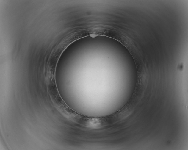 X0000113260091200909171700