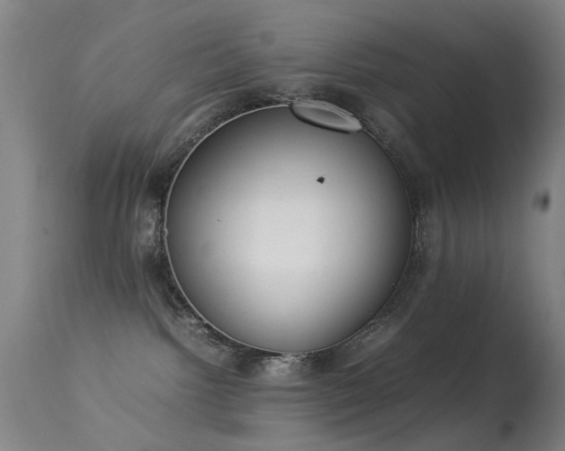 X0000113260092200909171700