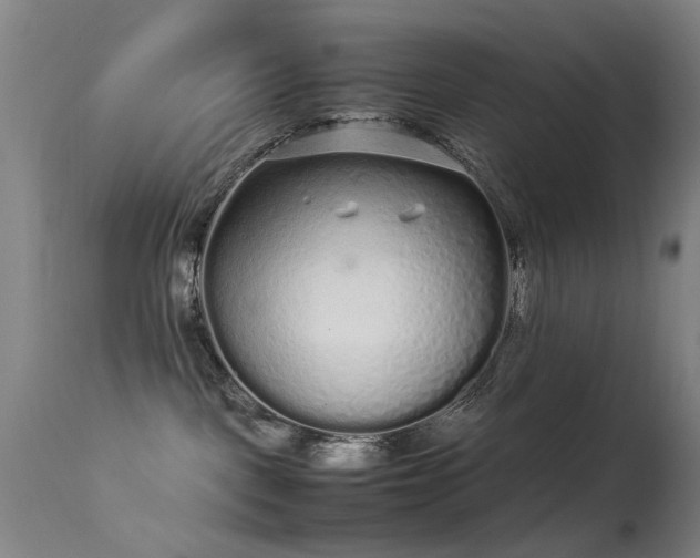 X0000113260093200909171700