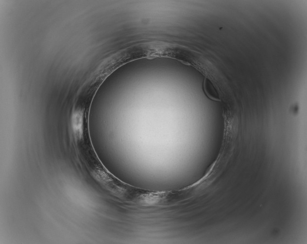 X0000113260094200909171700