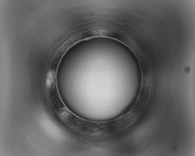 X0000113260095200909171700