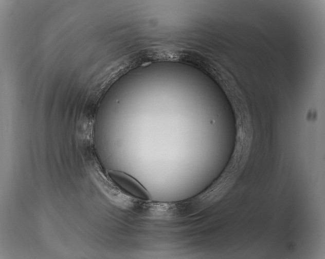 X0000113260096200909171700